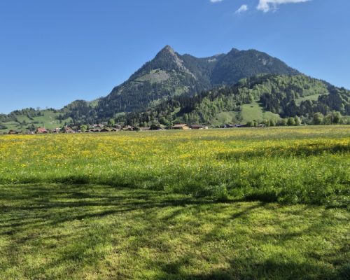 Blick_auf_Grüntenmassiv