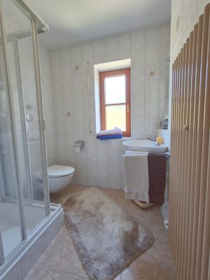 Dusche-WC-opt